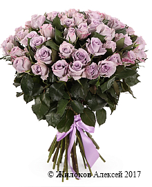 ����� ����� ������ (51 ����)