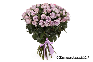 ����� ����� ������ (51 ����)