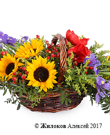 ����� ������ ������