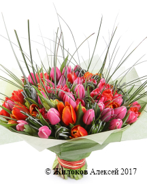 ����� ��������� �����