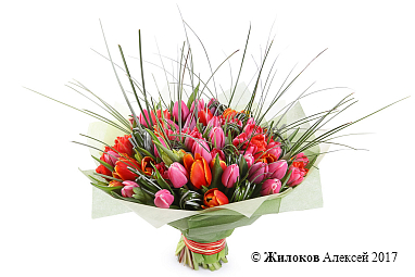 ����� ��������� �����