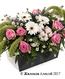 ���������� ����������� � ������ � �����