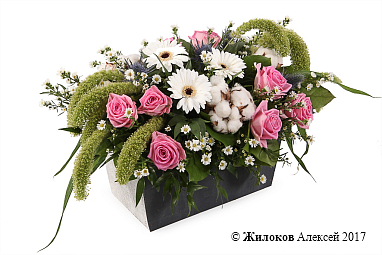 ���������� ����������� � ������ � �����