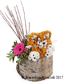 ���������� ��� ������