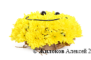 Композиция из хризантем Смайлик