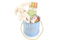 ������� �7