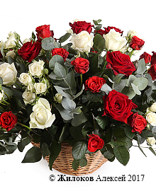 ����� ��� � ����� � �������