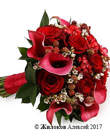 ����� ������� � �������� ������� ������� ��������