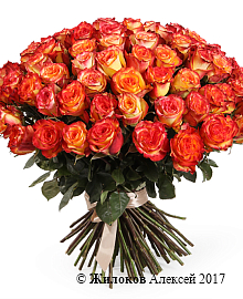 ����� 101 ���� ��� ������