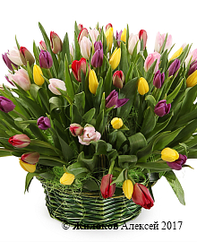 ����� 101 ������� � �������