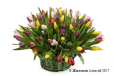 ����� 101 ������� � �������