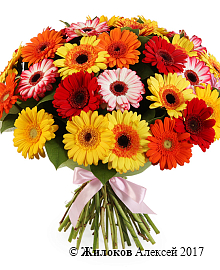 ����� � ��������� ��������