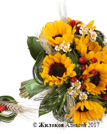 ����� ������� � ������������ ����