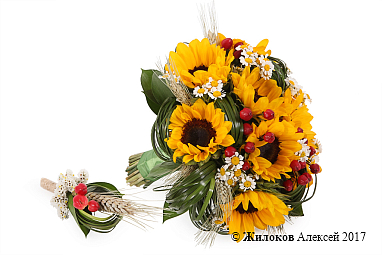 ����� ������� � ������������ ����