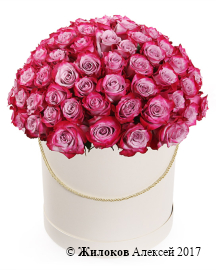 ����� 101 ���� ��� ����� � ������� �������