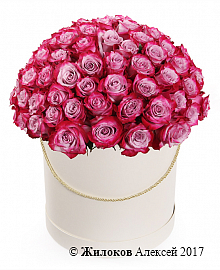 Букет 101 роза Дип Перпл в шляпной коробке