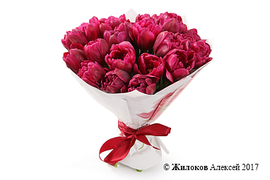 ����� 25 ����������� ���������, ���������