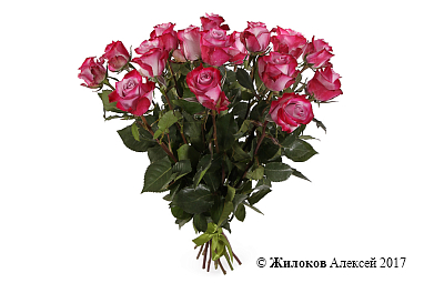 ����� 15 ��� ��� �����