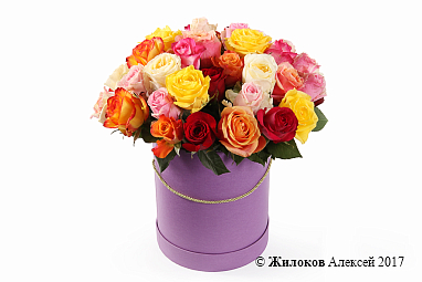 ����� ����������� ������� (51 ����) � ������� �������