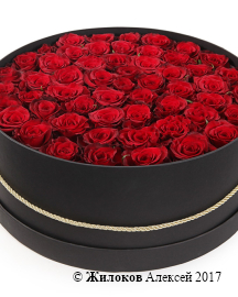 ����� 55 ��� ��� ����� � ������� �������