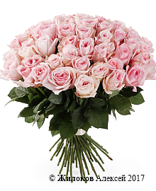 ����� 51 ���� ���� �'����