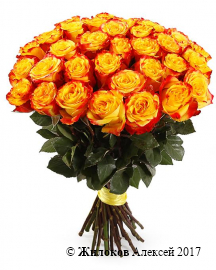 ����� 35 ��� ��� �����