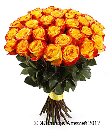 ����� 35 ��� ��� �����