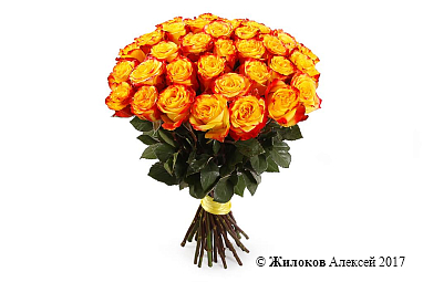 ����� 35 ��� ��� �����