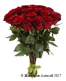 ����� 17 ��� ��� �����