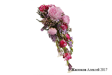 ����� ������� ����