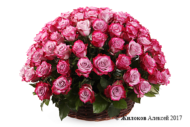 ����� 101 ���� ��� ����� � �������