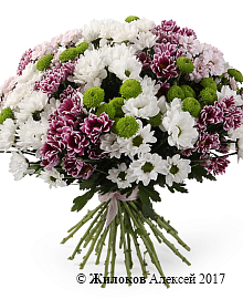 ����� 25 �������� ���������