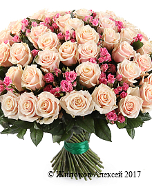 ����� �������� ������