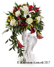 ����� ������ �������