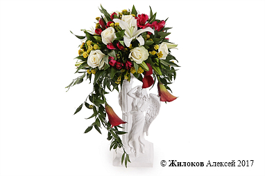 ����� ������ �������