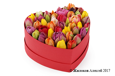 ���������� �������� ����������� � ������� ������� ������ (����), ����