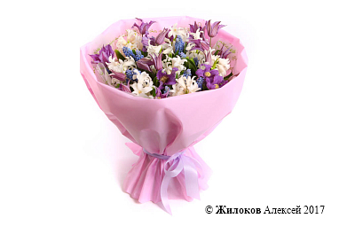 ����� ������ ���