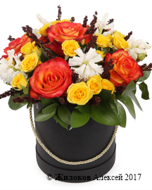 ����� ����� ������ ������� �������