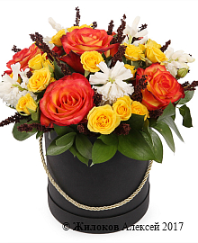 ����� ����� ������ ������� �������