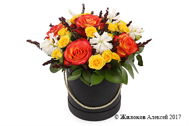 ����� ����� ������ ������� �������