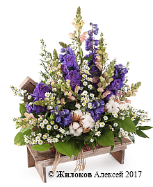 ���������� � ������� ���������� �����