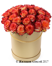 ����� 35 ��� ��� ������ � ������� �������