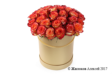 ����� 35 ��� ��� ������ � ������� �������