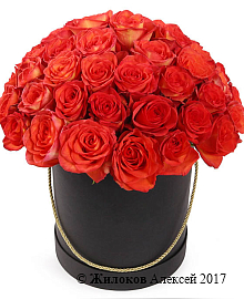 ����� 51 ���� ��� ������ � ������� �������