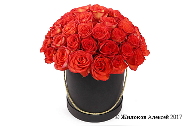 ����� 51 ���� ��� ������ � ������� �������