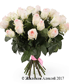 ����� 25 ��� ���������