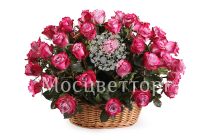 ����� 51 ���� ��� ����� � �������