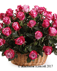 ����� 51 ���� ��� ����� � �������