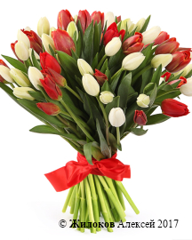 ����� 51 �������, ������-����� ����