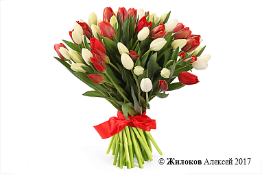 ����� 51 �������, ������-����� ����